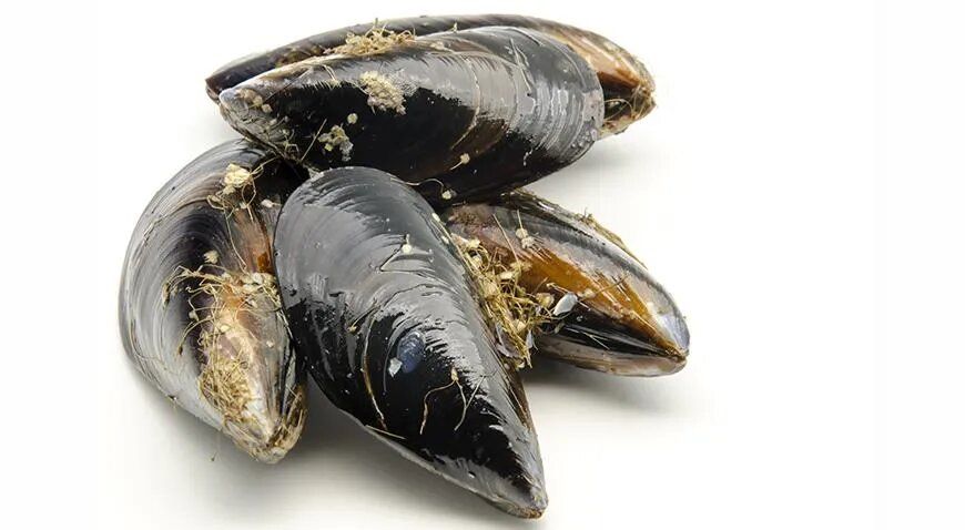 ����� �� ���������: ��� � �������������