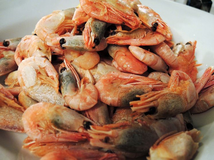 ����� �� ���� ������������ � ������� ����: ������ ����������