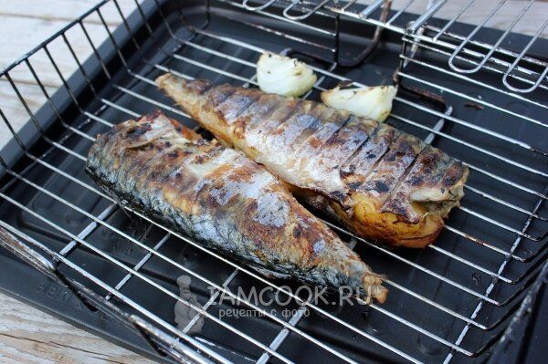 ������ �� ��������: ��������� � ������� ������� ��� �������