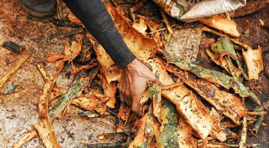 �����: �� ��������� ������� �� ������������ �������� ������ ��������