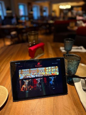 ������������ �����-���� El Gaucho: ��������� ������� � ���������� ����� � ������ ��������