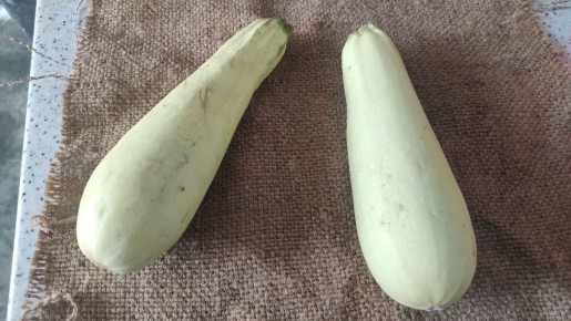 ���������� ������: ��������� ������, ������� ������ ����� ���������