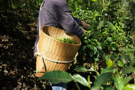 ����������� �� ������ ���������� �����