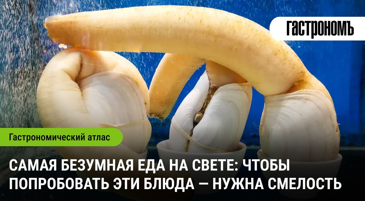 Экзотические кулинарные шедевры: попробуйте самые необычные блюда мира