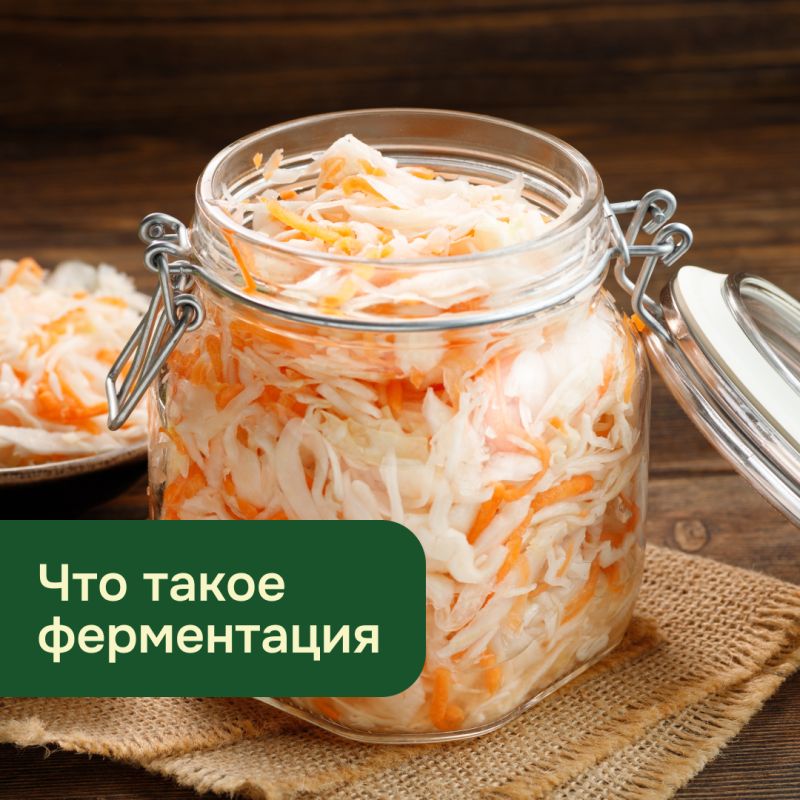 Ферментация: ключ к здоровью и вкусным блюдам