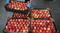 Закупочные цены на белорусские продукты: что предлагают фермерам в 2025 году